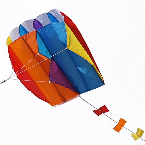 Colorful Besra Paragliding Kite with Long Tail for Outdoor Fun