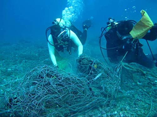 2020 Red/Black Paragliding Skydiving Harness with Safety Knife