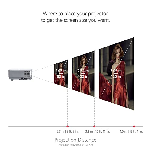 ViewSonic High Brightness Projector for Backyard Theater (PA503W)