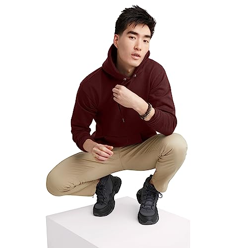 Hanes EcoSmart Mulled Berry Hoodie for Men, Large