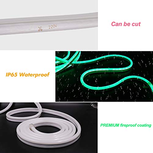 WiFi RGB Waterproof Flexible LED Strip with Controller