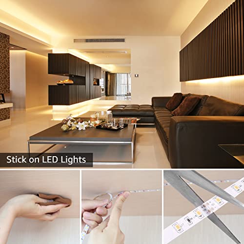 Lepro 10M Warm White LED Light Strip