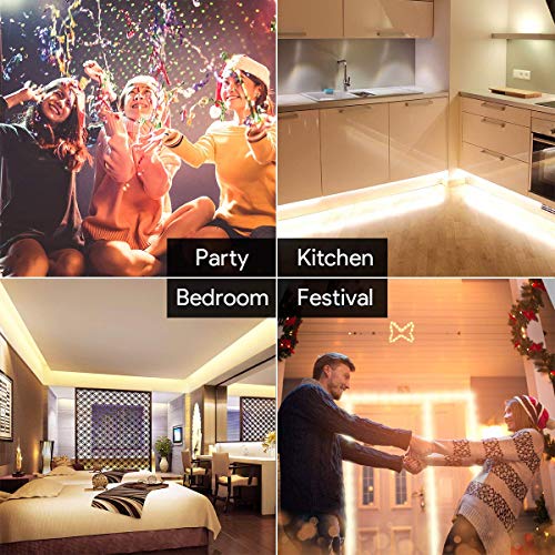 Lepro 10M Warm White LED Light Strip