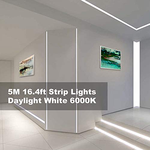 Dimmable LED Strip Lights with Power Adapter