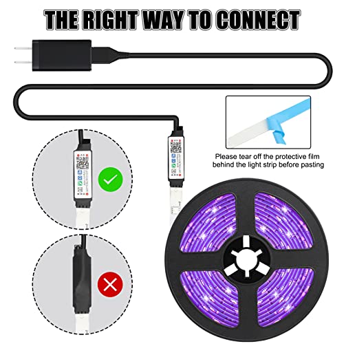 Diyife 5m LED Light Strip with Timer & App Control