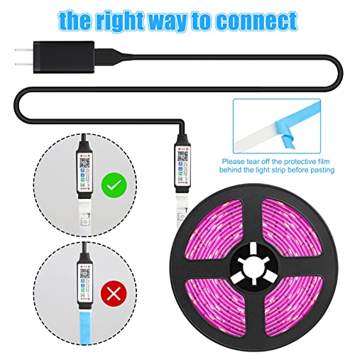 Smart LED Strip Light with Alexa Control