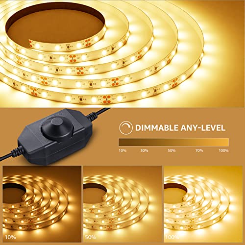 Lepro 5M Warm White LED Strip Lights