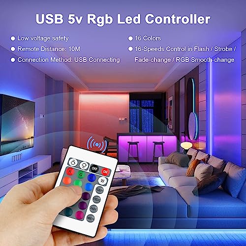 VIPMOON 24 Key Wireless LED Controller
