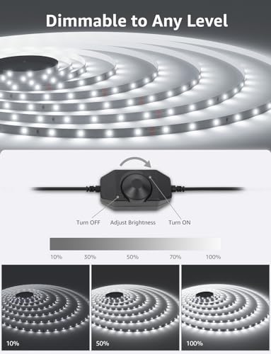 Lepro 10M Cool White LED Strip Light