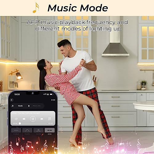 WiFi Dimmable LED Strip Controller with Alexa voice control