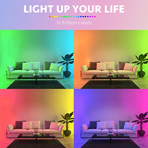 10M Colour Changing LED Strip with APP Control