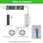 RGBW COB LED Strip Light - 24V, 5M