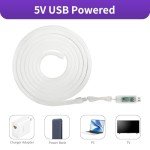 5M RGB+IC USB Neon LED Strip Lights