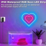 RGB LED Neon Rope Lights - 5M, WiFi & Waterproof