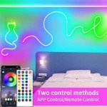 10M RGB LED Neon Light Strip with Remote