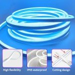 30M RGB LED Neon Rope Lights with Remote/App