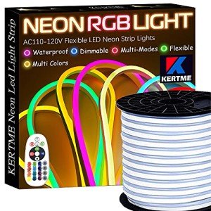 RGB Neon LED Light Strip with Remote Control