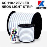 RGB Neon LED Light Strip with Remote Control