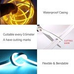 RGB Neon LED Light Strip with Remote Control