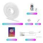 SPAHER 98.4 ft RGB Neon LED Strip Light