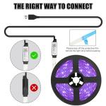 Diyife 5m LED Light Strip with Timer & App Control
