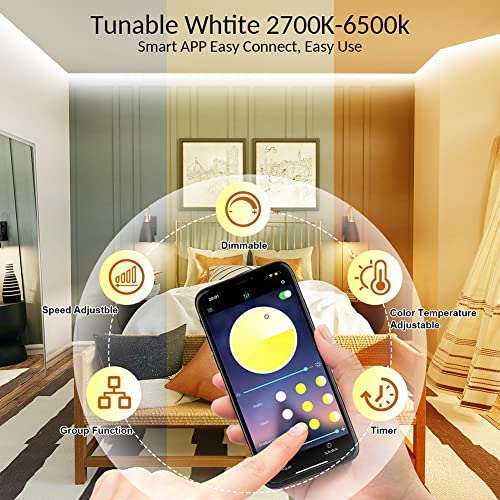 20M LED Strip with 1200 LEDs & Smart Control