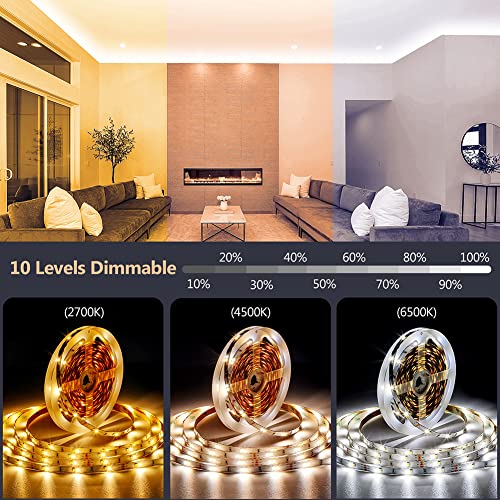 20M LED Strip with 1200 LEDs & Smart Control