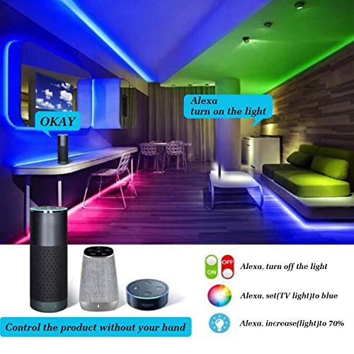 Smart LED Strip Lights with Alexa Control: 20M