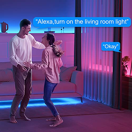 Alexa LED Strip Lights with Music Sync