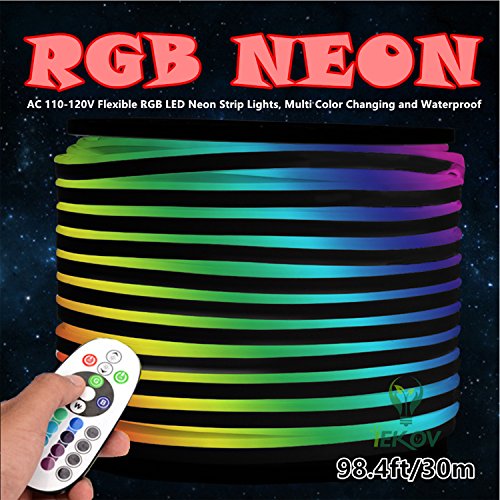 Flexible RGB LED Neon Light Strip with Remote