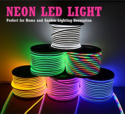 Flexible RGB LED Neon Light Strip with Remote