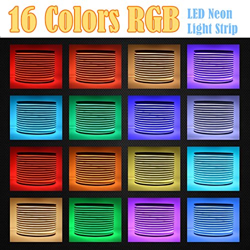 Flexible RGB LED Neon Light Strip with Remote