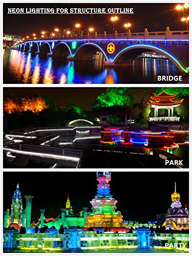 Flexible RGB LED Neon Light Strip with Remote