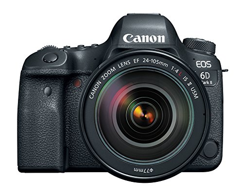 Canon EOS 6D Mark II DSLR Camera Bundle
