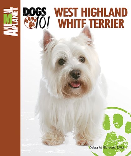 West highland white terrier from animal planet's dogs
