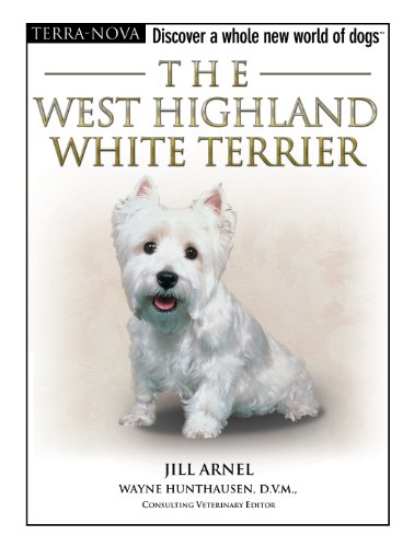 West highland white terrier collar (terra-nova)