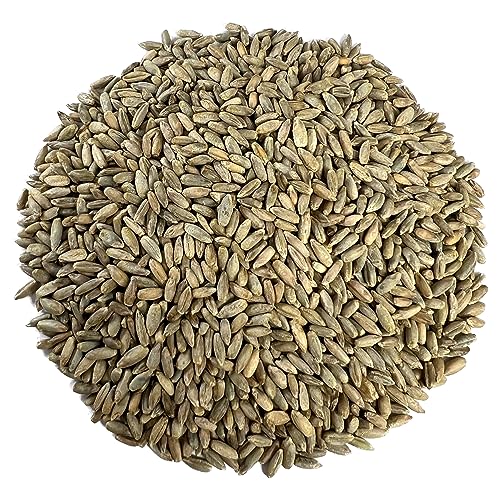 Organic Non-GMO Rye Berries, Kosher, Bulk USA (10 lbs)