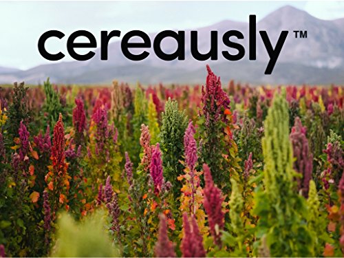 Organic White Quinoa from Bolivia - Premium Quality