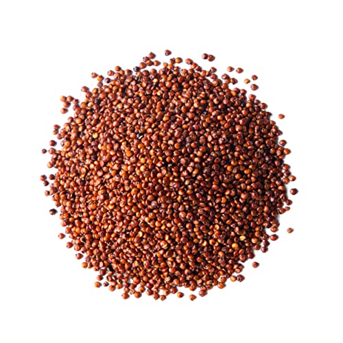 Red Quinoa Seeds: Raw, Sproutable, Vegan, Kosher. 1.5lbs