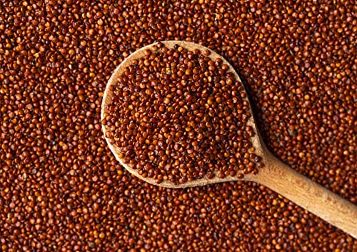 Red Quinoa Seeds: Raw, Sproutable, Vegan, Kosher. 1.5lbs