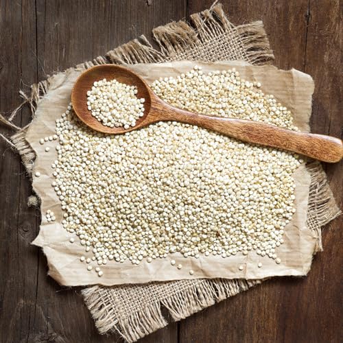 Earthborn Elements White Quinoa, 1 Gallon - Gluten-Free, Vegan