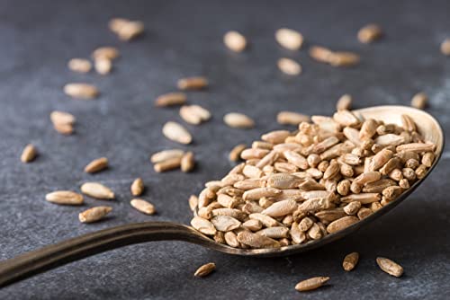 Organic Non-GMO Rye Berries, Kosher, Bulk USA (10 lbs)