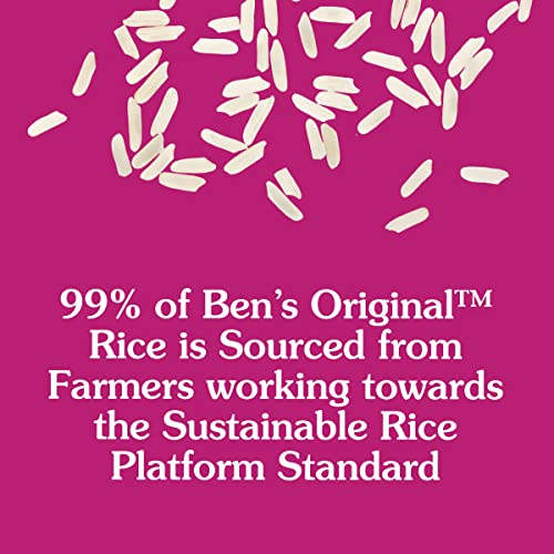 BEN'S ORIGINAL 5 lb Bag Whole Grain Brown Rice