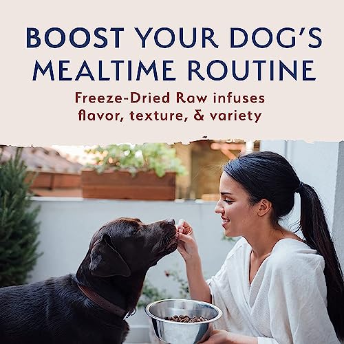 Natural Balance Freeze Dried Dog Food, Beef Recipe
