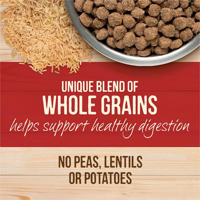 Merrick Beef & Brown Rice High-Protein Dog Food