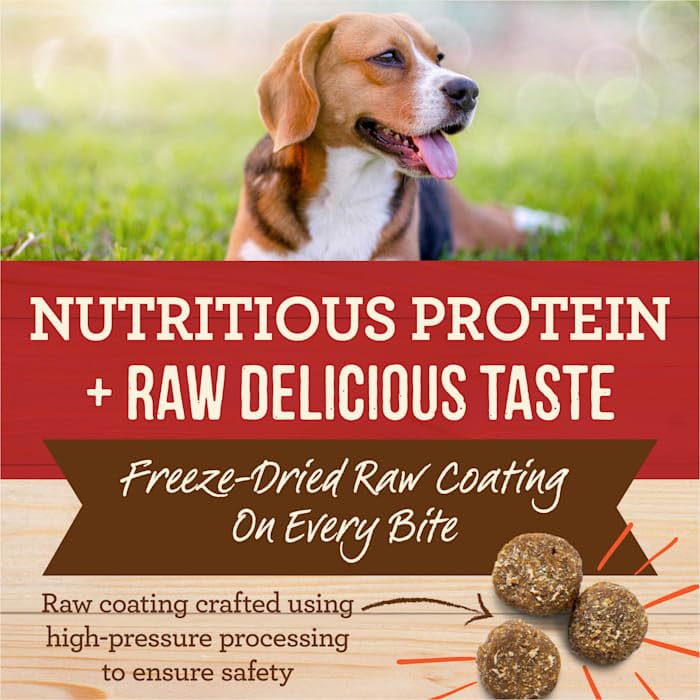 Merrick Beef & Brown Rice High-Protein Dog Food