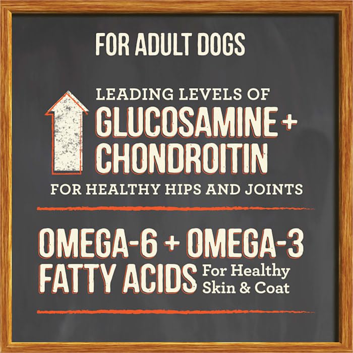 Merrick Beef & Brown Rice High-Protein Dog Food