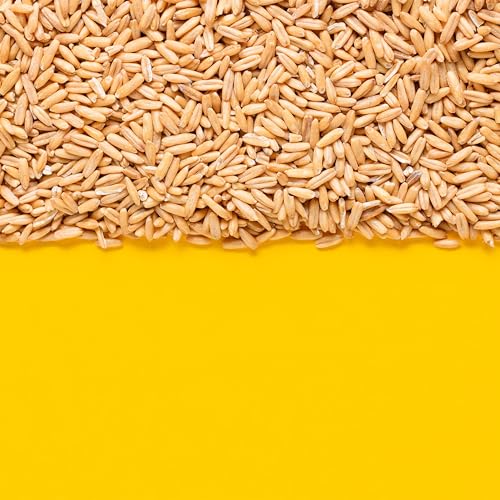 Yupik Organic Oat Groats, 2.2 lb, Non-GMO, Vegan