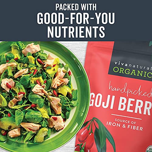 Organic Dried Goji Berries - Non-GMO, Vegan 1lb