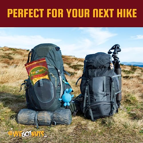 Raw Dried Pineapple Chunks (5lb) | Kosher Certified